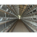 Système de cages de poulet à poulets à chair H à économie de main-d&#39;œuvre